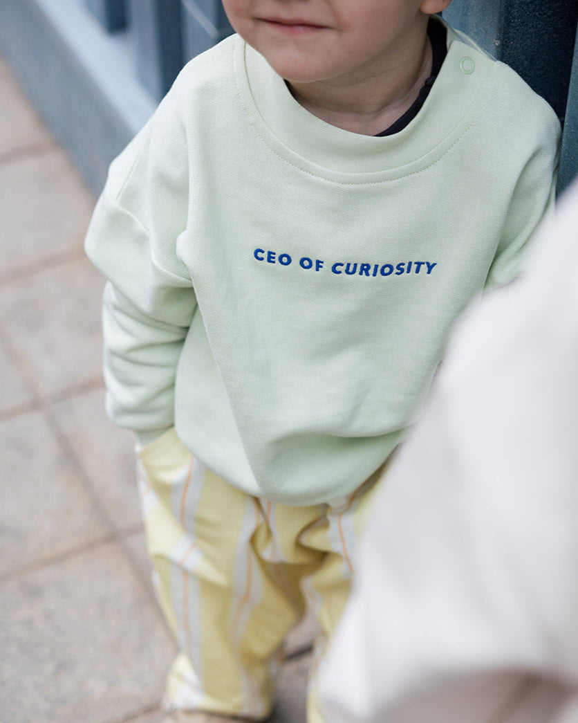 Curiosity Oversized Sweater Matcha